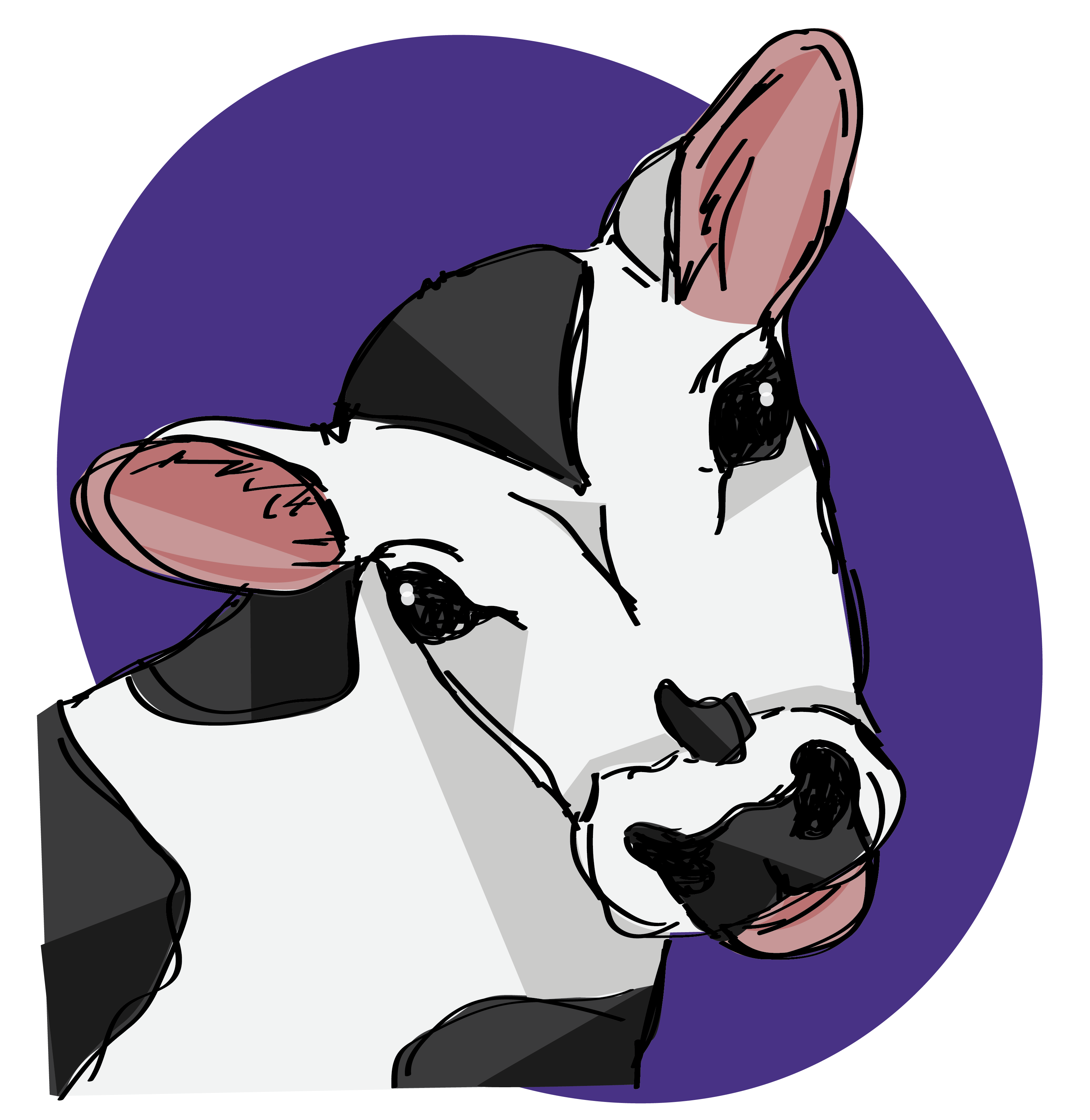 Illustration of a cow